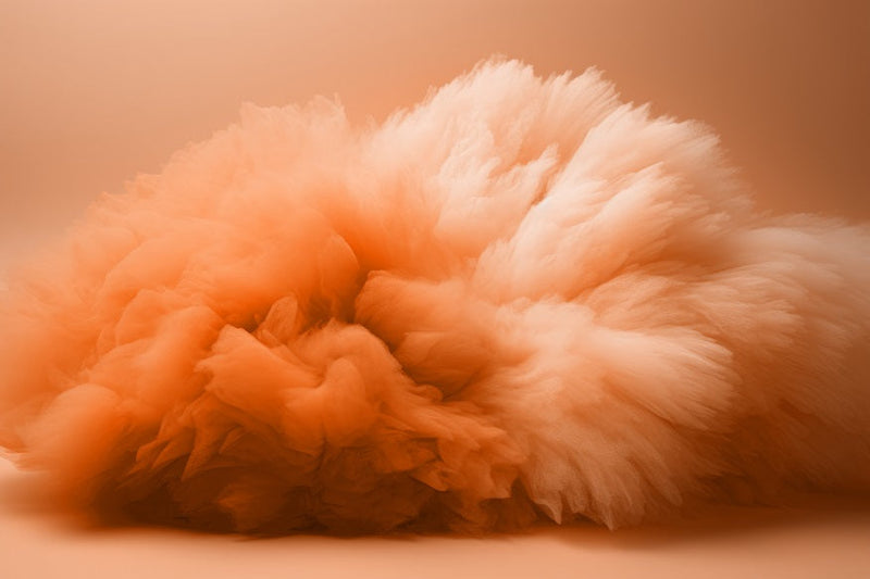 Pantone 2024 Color of the Year Peach Fuzz