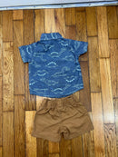 PRE-OWNED - Carter's 2 Piece Baby Boy Dinosaur Shirt with Brown Shorts Size 6 Months